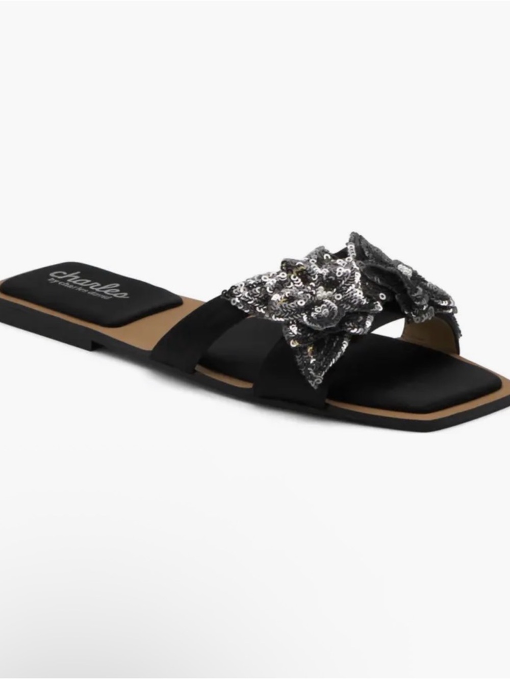 Charles by Charles David Ordly Slide Sandal New in Box